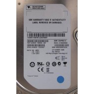 Disk Seagate ST33000650SS 