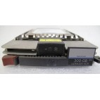 Disque 300Go SCSI 10K