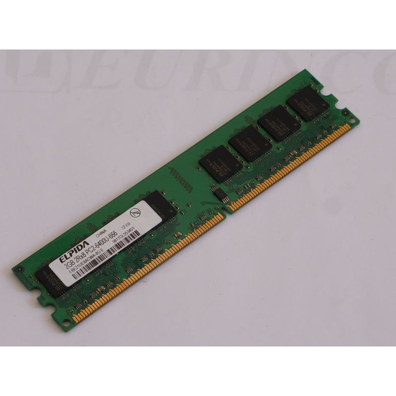 Mémoire 2Gb 2Rx8 PC2-6400U DDR2-800 Elpida EBE21UE8ACWA-8G-E 
